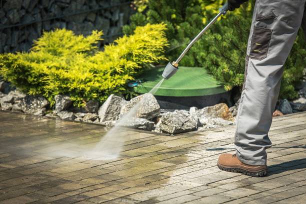 Best Gutter Cleaning and Brightening in Royalton, IL